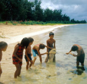 Wilcommen, No. 0022 Young Children Examining Juvenile Shark on the Beach